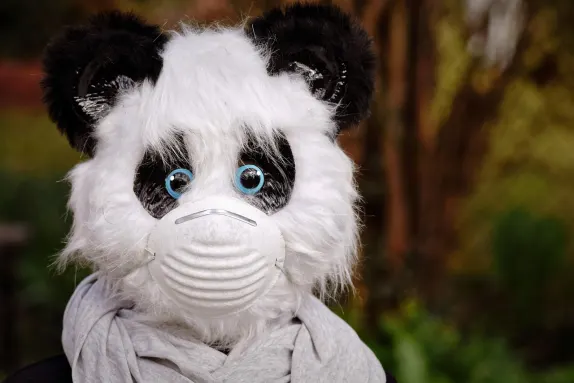 Casino Mars Bet Ënnerstëtzung